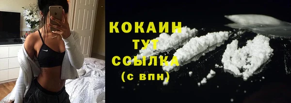 прущая мука Бородино