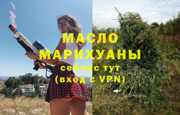 дживик Богородицк