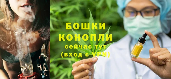 дживик Богородицк