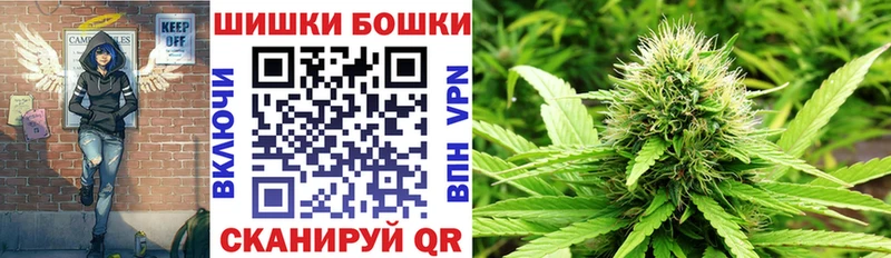 Бошки Шишки VHQ Луховицы